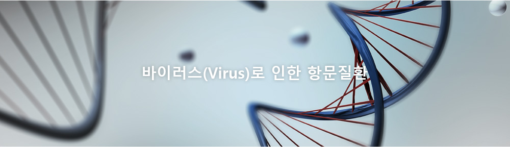 바이러스(Virus)로 인한 항문질환